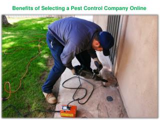 "Benefits of Selecting a Pest Control Company Online "