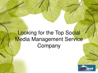 Looking for the Top Social Media Management Service Company