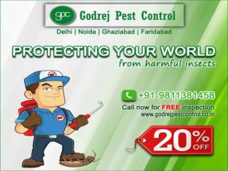 pest control faridabad