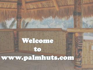Best Palm Huts in Florida