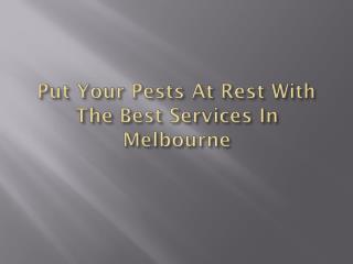 Put Your Pests At Rest With The Best Services In Melbourne