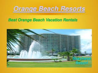 Amazing Orange Beach Vacation Rentals