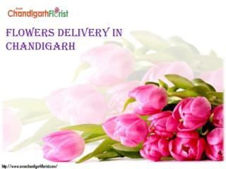 Flowers Delivery in Chandigarh