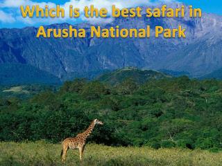 Which is the best safari in Arusha National Park