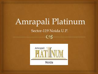 Amrapali Platinum Sector 119 Noida – Investors Clinic