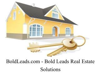 Bold Leads - Best Real Estate Lead Generation Services
