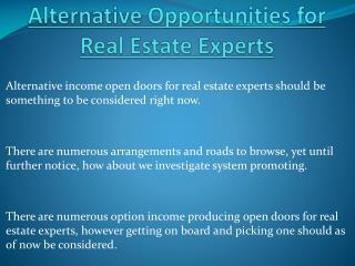 Alternative Opportunities for Real Estate Experts