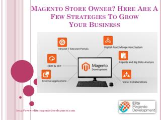 Magento Store Owner? Here Are A Few Strategies To Grow Your Business
