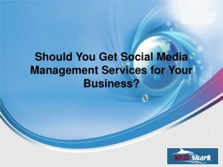 Should You Get Social Media Management Services for Your Business