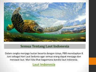 Semua Tentang Laut Indonesia