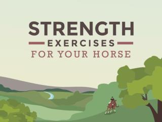 Strength Exercises for Your Horse