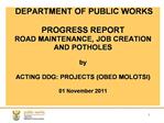 DEPARTMENT OF PUBLIC WORKS PROGRESS REPORT ROAD MAINTENANCE, JOB CREATION AND POTHOLES by ACTING DDG: PROJECTS OBED M