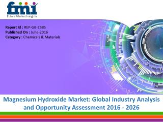 Magnesium Hydroxide Market worth US$ 551.4 Mn in 2015