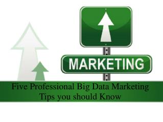 Five Professional Big Data Marketing Tips you should Know