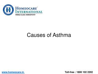 Causes of Asthma