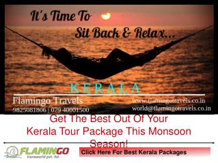 Highly Demanding Kerala Tour Packages For Monsoon | Flamingo Travels