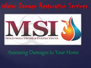 Water Damage Restoration Services