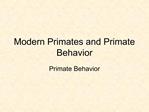 Modern Primates and Primate Behavior