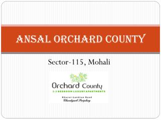 Ansal API Orchard County Sector 115 Mohali – Investors Clinic