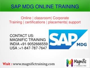 SAO MDG ONLINE TRAINING