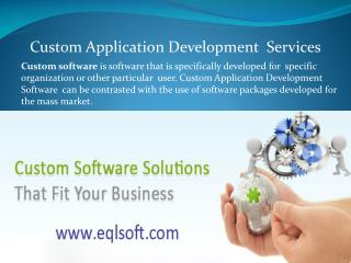 Custom Application Software Development