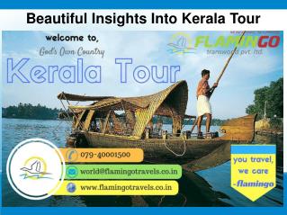Beautiful Insights Into Kerala Tour