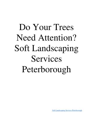 Soft Landscaping Services Peterborough