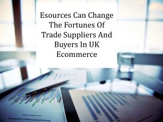 Esources Can Change The Fortunes Of Trade Suppliers And Buyers In UK Ecommerce