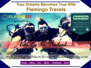 Rejoice Your Holidays By Thailand Tour Packages – Flamingo Travels