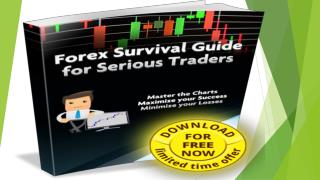 Black Diamond Trader 2 Review|Black Diamond Trader 2 System – scam or not?