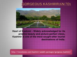 Gorgeous Kashmir(6N/7D)