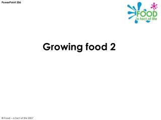 Growing food 2