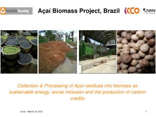 Açaí Biomass Project, Brazil