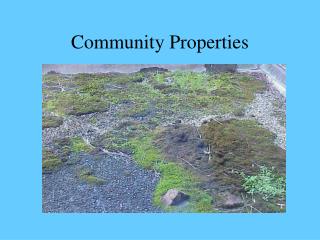 Community Properties