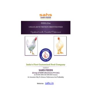 Best Poultry Feed Concentrates and Additives