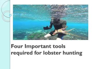 Four Important tools required for lobster hunting