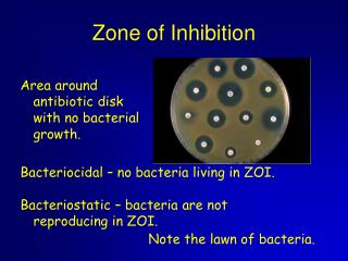 Zone of Inhibition