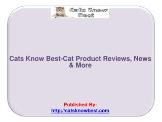 Cat Product Reviews, News & More