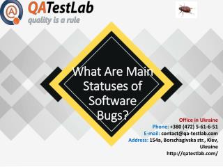 What Are Main Statuses of Software Bugs?