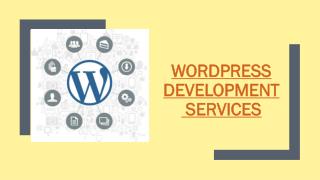 Know More About Our WordPress Development Services