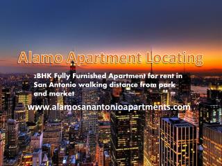 2BHK Fully Furnished Small Apartment for rent in San Antonio