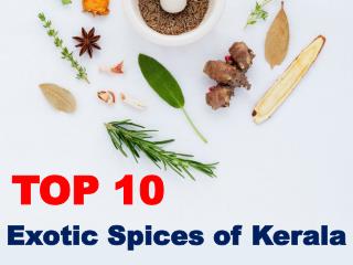 Top 10 Exotic Spices of Kerala