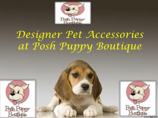 Designer Pet Accessories at Posh Puppy Boutique