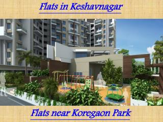 Flats near Koregaon Park