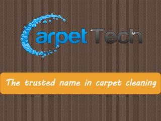 Carpet Cleaning Services in Bondi