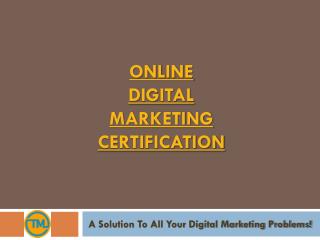 Online Digital Marketing Certification