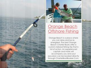 Orange Beach Deep Sea Fishing