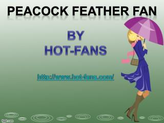 Peacock Feather Fan By Hot-Fans