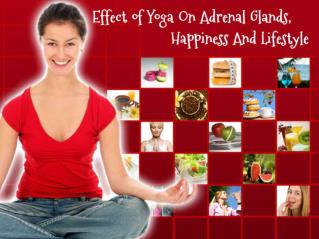Effect of Yoga On Adrenal Glands, Happiness And Lifestyle