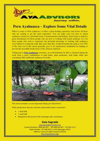 Peru Ayahuasca – Explore Some Vital Details